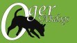 green_solid_eng